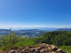 Blick auf die Alpen von Passwang