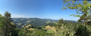 Blick vom Hirnichopf, hinten die Hohe Winde