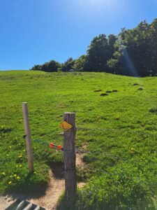 Trail zum "Passwang - Aussichtsspunkt"