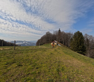 Frühlingsstimmung auf dem Berg